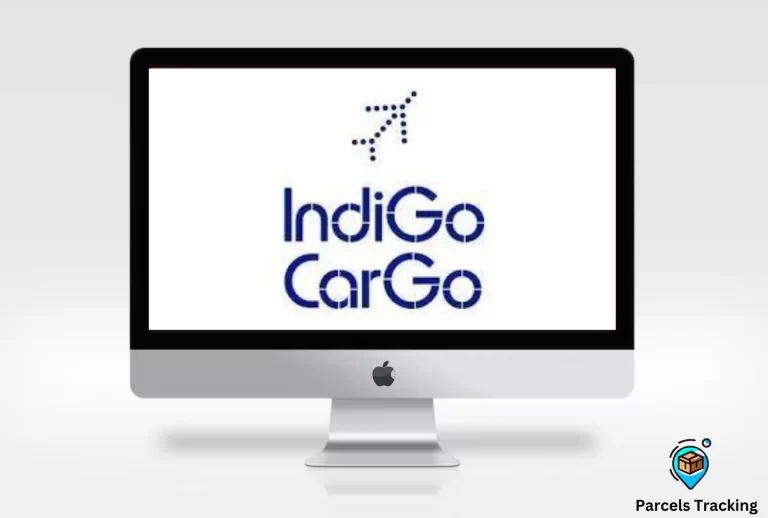 indigo cargo tracking